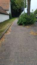 Bild zu gemeldetem Anliegen vom 26.06.25*2025-06-27 21:32:19