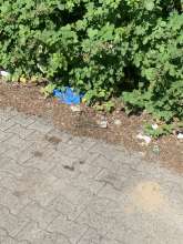 Bild zu gemeldetem Anliegen vom *2025-06-19 22:00:13
