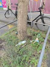 Baumscheibe voller  Müllzu gemeldetem Anliegen vom *2025-06-22 09:28:52