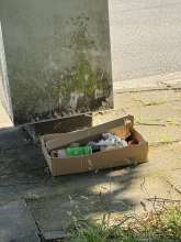 Bild zu gemeldetem Anliegen vom *2025-06-03 12:41:16