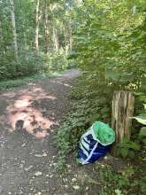 Bild zu gemeldetem Anliegen vom *2025-06-29 08:14:29