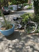 Bild zu gemeldetem Anliegen vom *2025-06-14 12:30:50