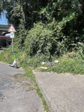 Bild zu gemeldetem Anliegen vom *2025-06-21 20:11:51