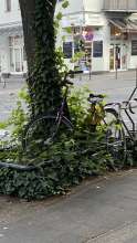 Bild zu gemeldetem Anliegen vom *2025-06-28 11:12:26