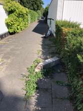 Bild zu gemeldetem Anliegen vom *2025-06-29 09:31:27