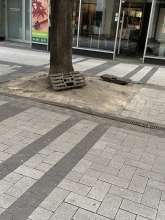 Bild zu gemeldetem Anliegen vom *2025-06-04 12:27:48