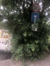 Bild zu gemeldetem Anliegen vom *2025-06-01 13:47:28