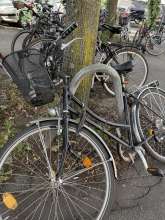Bild zu gemeldetem Anliegen vom *2025-06-26 09:32:44