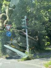 Bild zu gemeldetem Anliegen vom *2025-06-20 12:31:05