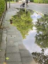 Bild zu gemeldetem Anliegen vom *2025-06-08 09:28:46