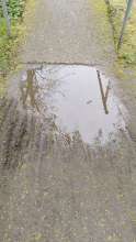 Bild zu gemeldetem Anliegen vom *2025-06-04 12:27:15
