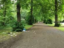 Bild zu gemeldetem Anliegen vom *2025-06-02 12:29:26