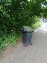 Herrenlose, überfüllte Mülltonne mit Bild zu gemeldetem Anliegen vom *2025-06-13 12:30:05