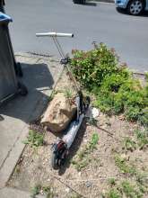 Alter Roller vor Tiergartenstr. 31b, neben Baum