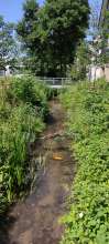 Bild zu gemeldetem Anliegen vom *2025-06-19 12:07:46
