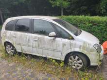 Bild zu gemeldetem Anliegen vom *2025-06-25 09:13:49