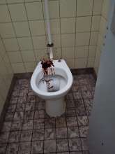 Bild zu gemeldetem Anliegen vom *2025-06-26 21:41:21