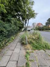 Bild zu gemeldetem Anliegen vom *2025-06-01 12:27:57