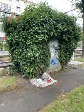 Bild zu gemeldetem Anliegen vom *2025-06-09 18:28:34