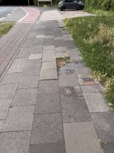 Bild zu gemeldetem Anliegen vom *2025-06-24 09:32:46