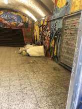 Stark verschmutzter und belagerter Eingang von drogenabhängigen menschen, welche öffentlich kobsunieren und Fäkalien u d Flassplitter hinterlassen!!! Täglich. Passanten haben Angst und Ekel.Meine Tochter muss jeden Morgen den Zug nach Bonn nehmen. Bitte dringlich um Beachtubg!!! Bild zu gemeldetem Anliegen vom *2025-06-06 06:33:47