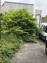 Bild zu gemeldetem Anliegen vom *2025-06-10 06:34:05