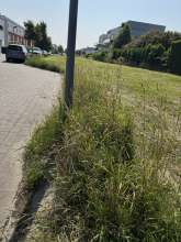 Bild zu gemeldetem Anliegen vom *2025-06-11 16:58:42