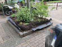 Bild zu gemeldetem Anliegen vom *2025-06-09 15:29:23
