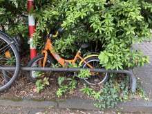 Bild zu gemeldetem Anliegen vom *2025-06-09 16:43:53