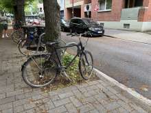 Bild zu gemeldetem Anliegen vom *2025-06-01 12:27:57