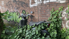 Bild zu gemeldetem Anliegen vom *2025-06-11 12:51:28