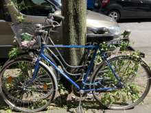 Bild zu gemeldetem Anliegen vom *2025-06-13 10:39:42