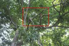 Bild zu gemeldetem Anliegen vom *2025-06-13 18:27:22