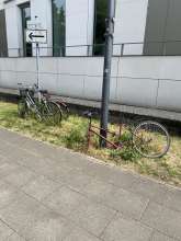 Bild zu gemeldetem Anliegen vom *2025-06-04 00:30:56