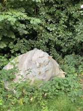 Bild zu gemeldetem Anliegen vom *2025-06-28 11:09:12
