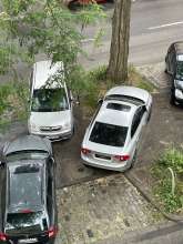 Bild zu gemeldetem Anliegen vom *2025-06-05 06:31:49