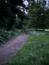 Bild zu gemeldetem Anliegen vom *2025-06-14 18:28:38