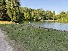 Bild zu gemeldetem Anliegen vom *2025-06-13 19:53:06