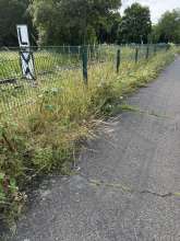 Bild zu gemeldetem Anliegen vom *2025-06-10 09:34:37