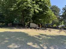 Bild zu gemeldetem Anliegen vom *2025-06-20 14:05:52