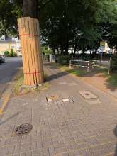 Bild zu gemeldetem Anliegen vom *2025-06-11 22:36:20
