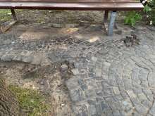 Bild zu gemeldetem Anliegen vom *2025-06-04 08:08:34