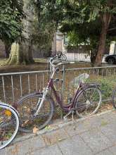 Bild zu gemeldetem Anliegen vom *2025-06-09 19:46:36