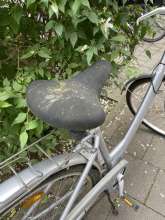 Bild zu gemeldetem Anliegen vom *2025-06-12 12:29:52