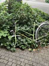 Bild zu gemeldetem Anliegen vom *2025-06-06 11:57:08