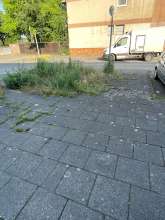 Der Bürgersteig ist zugewachsen