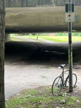 Bild zu gemeldetem Anliegen vom *2025-06-09 15:29:23