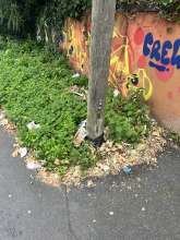 Bild zu gemeldetem Anliegen vom *2025-06-11 18:35:18