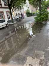 Bild zu gemeldetem Anliegen vom *2025-06-08 09:28:46