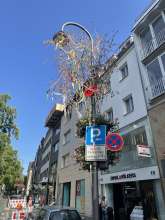 Alter Maibaum. Leider bei den nahegelegenen Häusern keine Eigentümer/Beschekten ausfindig machen können.